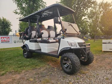 2024 Marshell DG-M4+2   Golf Cart